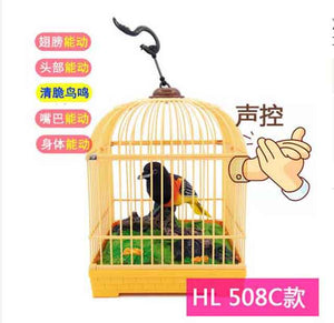 Family pet bird toys talking birds pet birds pet bird cage electric voice control children's toys gift